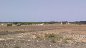 campo seco formentera