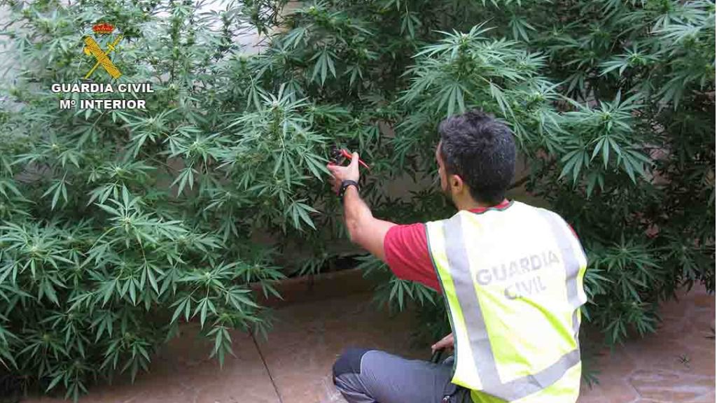 Punto de Venta