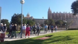 Turistas camino de la Seu