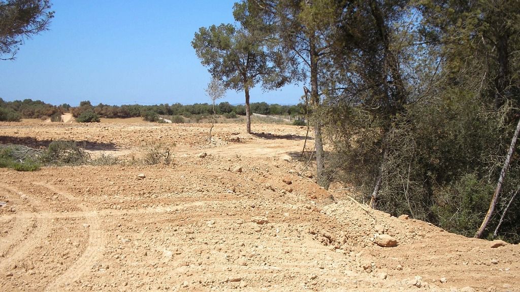 Son Olivaret