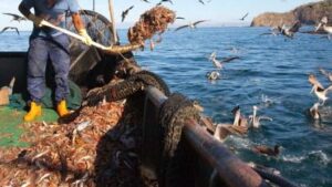 Se paraliz&oacute; la actividad desde el 2 de febrero y el 10 de abril