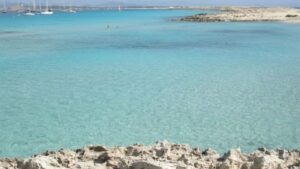 El estudio es del Catedr&aacute;tico de Econom&iacute;a Aplicada de la UIB Andreu Sans&oacute;