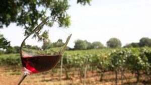 Controversia por la propuesta de la conselleria para el &oacute;rgano provisional