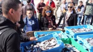 pescadores descargan pescado