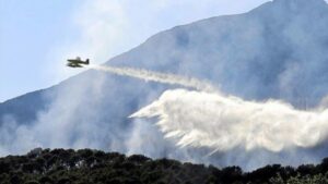 Se han declarado 105 incendios forestales
