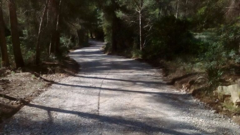 camino rural