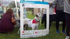 Remarcan la importancia de la adopci&oacute;n