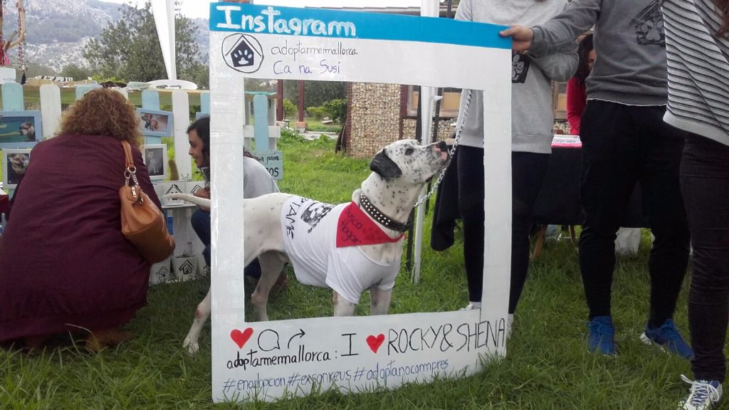 Remarcan la importancia de la adopción