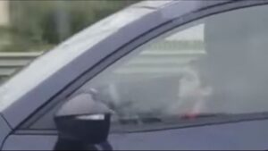 Ha despertado un aluvi&oacute;n de cr&iacute;ticas