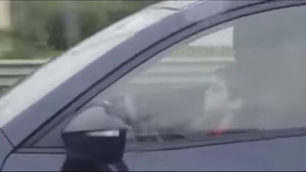 Ha despertado un aluvión de críticas