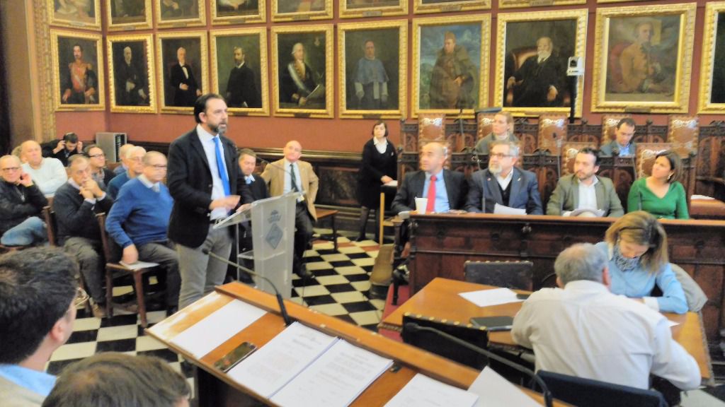 El director de ASIMA, Alejandro Sáenz de San Pedro, en su intervención en el Pleno
