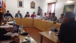 pleno formentera diciembre 2016