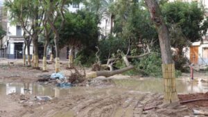 plaza parque arboles caidos