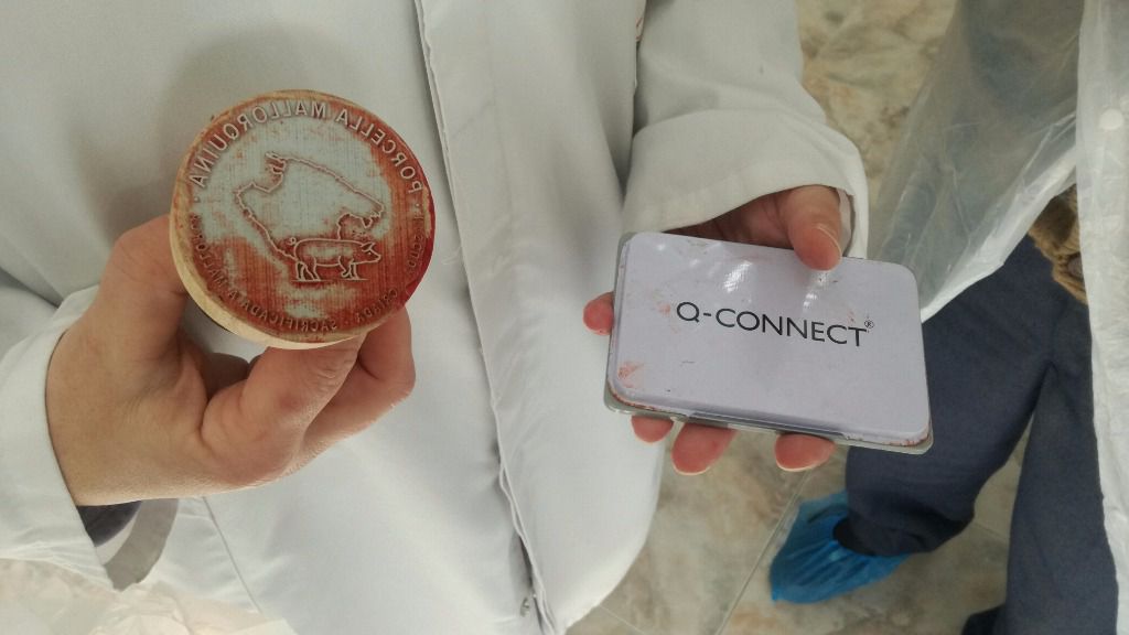 Imagen del distintivo de la porcella mallorquina