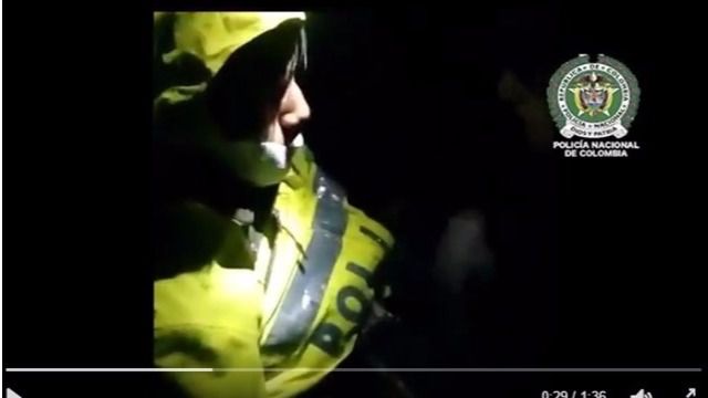 El avión se estrelló el pasado 28 de noviembre