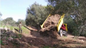 Imagen de las tareas de reforestaci&oacute;n