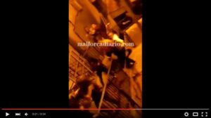 Degollamiento Gomila