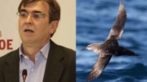 Imagen del senador y del ave