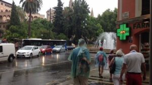 Palma, pasada por agua