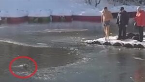 perro atrapado hielo