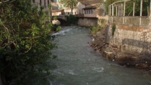 Los de S&oacute;ller, Sa Pobla, Muro, Campos y Mancor son los que van m&aacute;s cargados