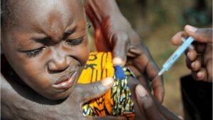 El ensayo se realiz&oacute; en la regi&oacute;n costera de Basse-Guin&eacute;e