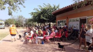 Alto &iacute;ndice de adopciones en Son Reus