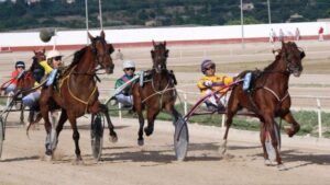 Imagen de una carrera en el Hip&ograve;drom de Manacor