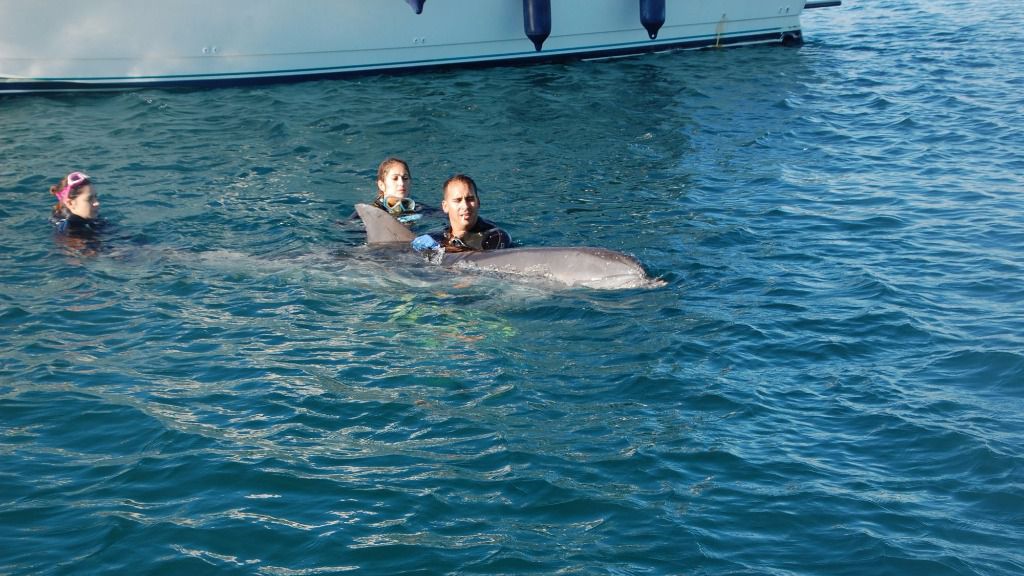 Imagen del rescate del delfín en aguas de la bahía de Palma