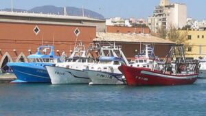 Se persigue garantizar la sostenibilidad de los recursos pesqueros