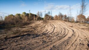 La zona sufri&oacute; dos incendios intencionados este verano