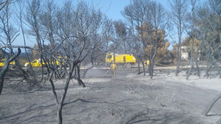 incendio sa canova