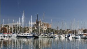 Palma barcos
