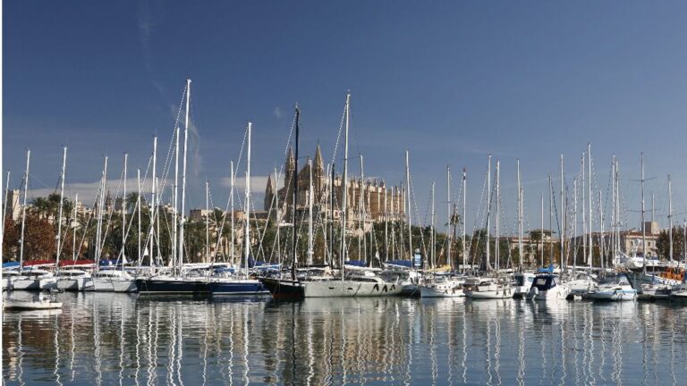 Palma barcos