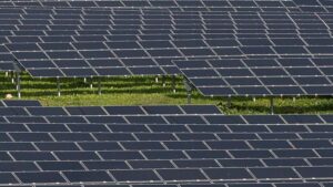 planta fotovoltaica panel solar