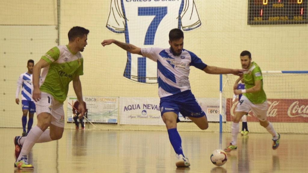 Jumilla Palma