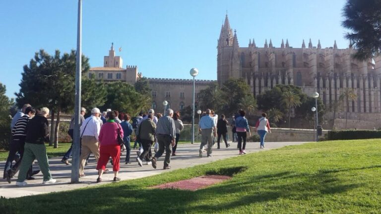 turistas palma seu