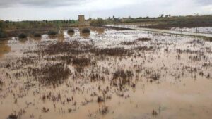 El pla de Sant Jordi qued&oacute; anegado a ra&iacute;z de las inundaciones de diciembre