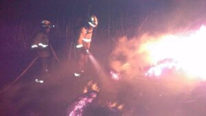 La zona situada en el Miner Petit en Campanet es de dif&iacute;cil acceso