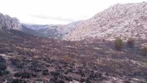 incendio forestal es Miner Petit