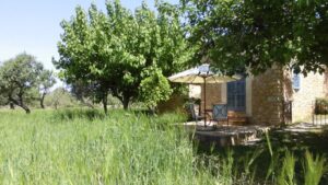 Advierten que no pueden hacer frente a m&aacute;s trabas a la viabilidad econ&oacute;mica agraria