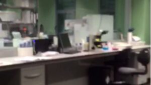 Interior del recinto