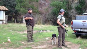 Pedro Bestard, presidente de la Federaci&oacute; Balear de Ca&ccedil;a