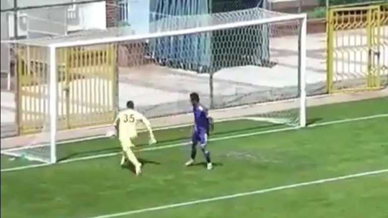 gol tonto