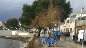 &aacute;rbol temporal