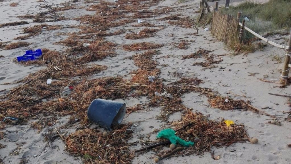 basura suciedad playa