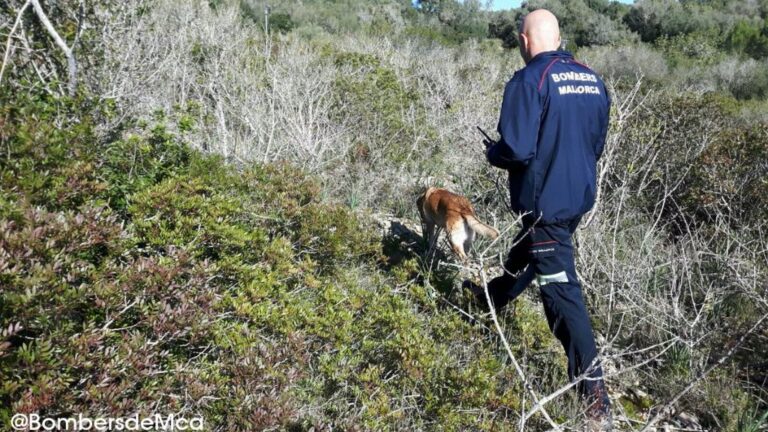 unidad canina