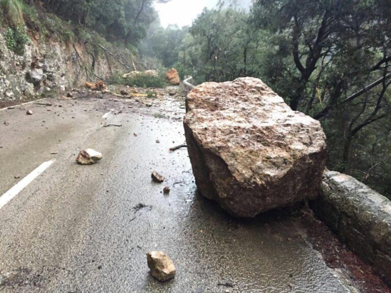 Se han producido varios desprendimientos de rocas y de un árbol