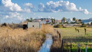 feixes des prat de ses monges