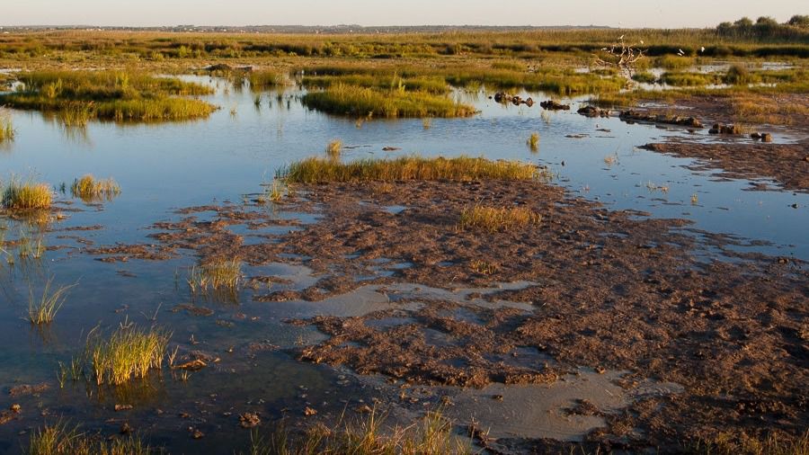 Albufera